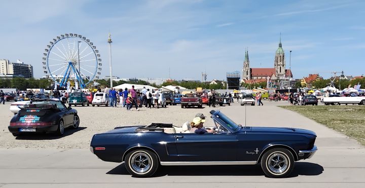 Mustang_07a.jpg