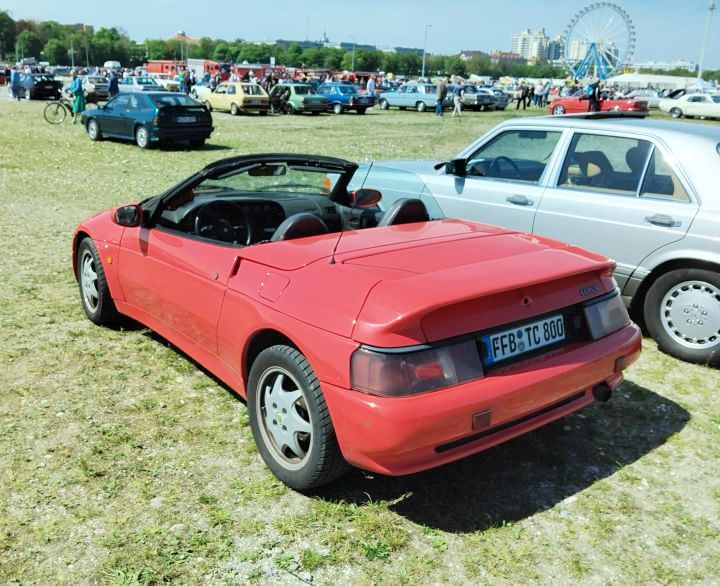 Lotus_02c.jpg