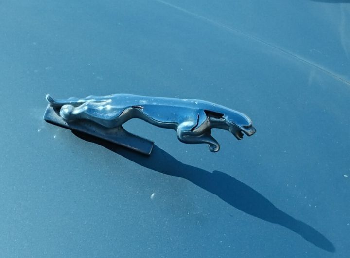 Jaguar_XJS_06e.jpg