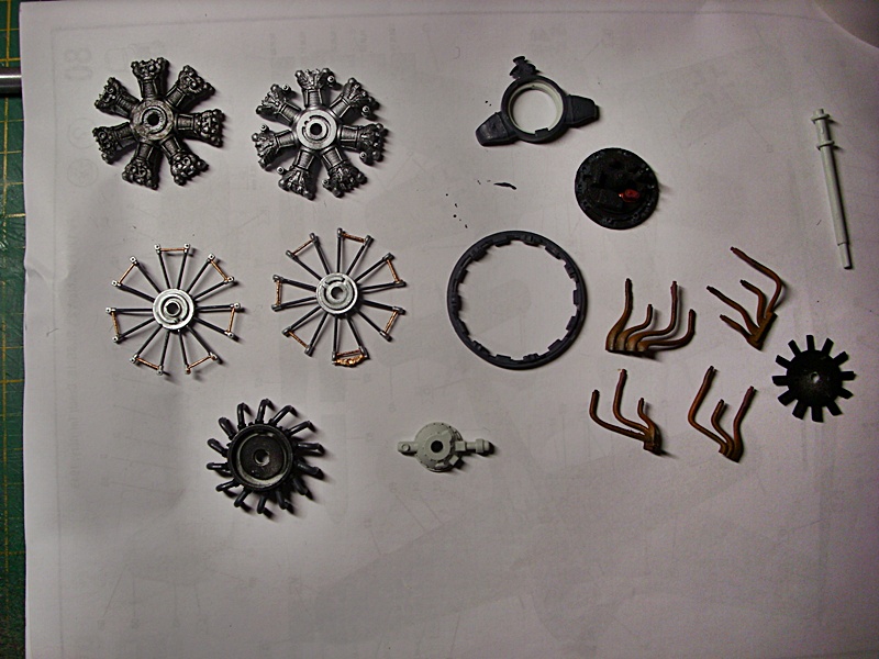 DSCI0116.JPG