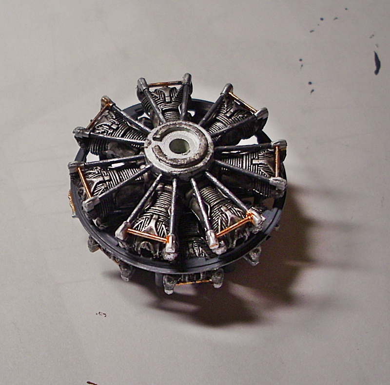 DSCI0117.JPG