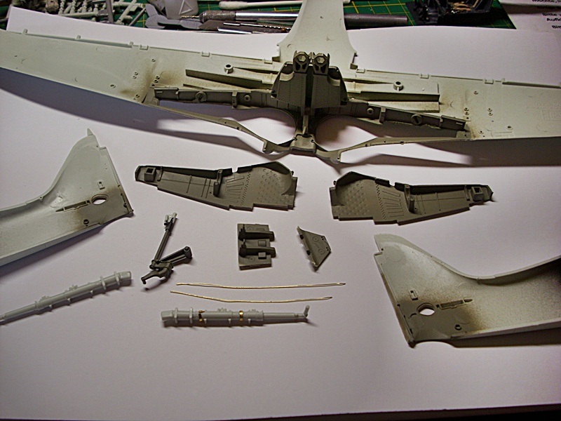 DSCI0134.JPG