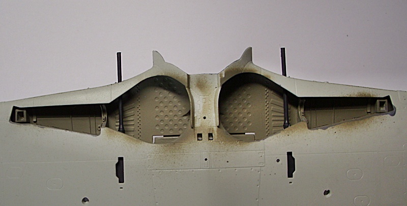 DSCI0137.JPG