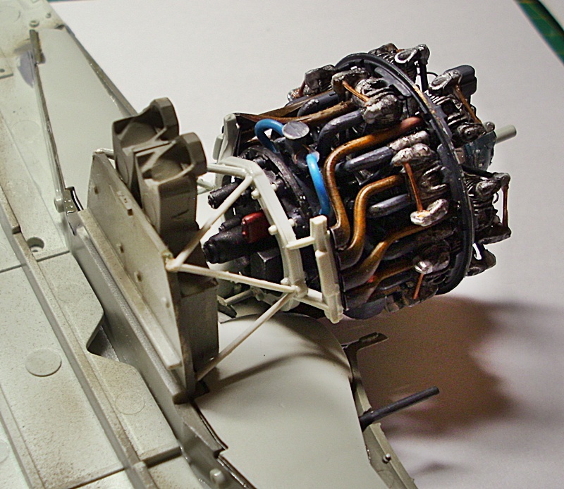 DSCI0141.JPG