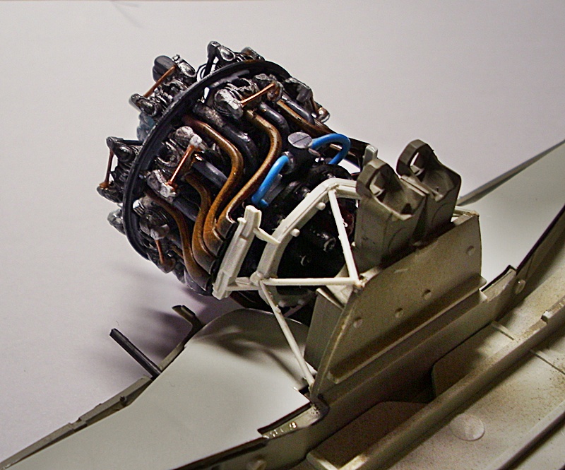 DSCI0142.JPG
