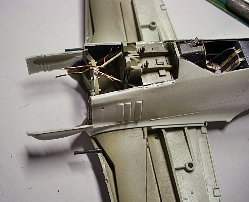 DSCI0158.JPG