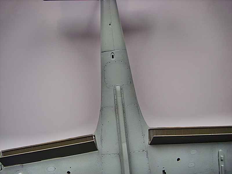 DSCI0195.JPG