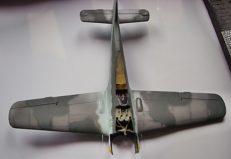 DSCI0188.JPG