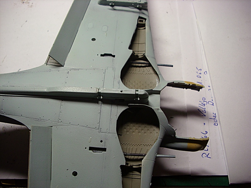 DSCI0198.JPG