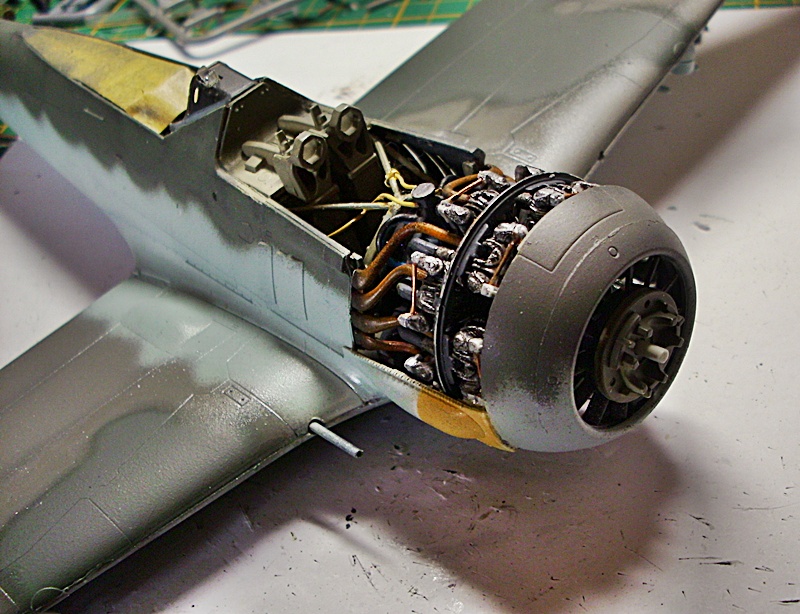 DSCI0220.JPG