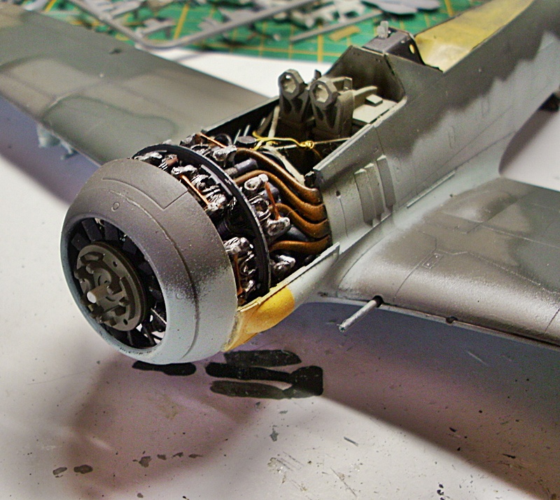 DSCI0221.JPG