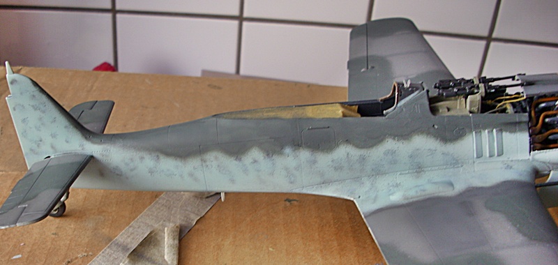 DSCI0230.JPG