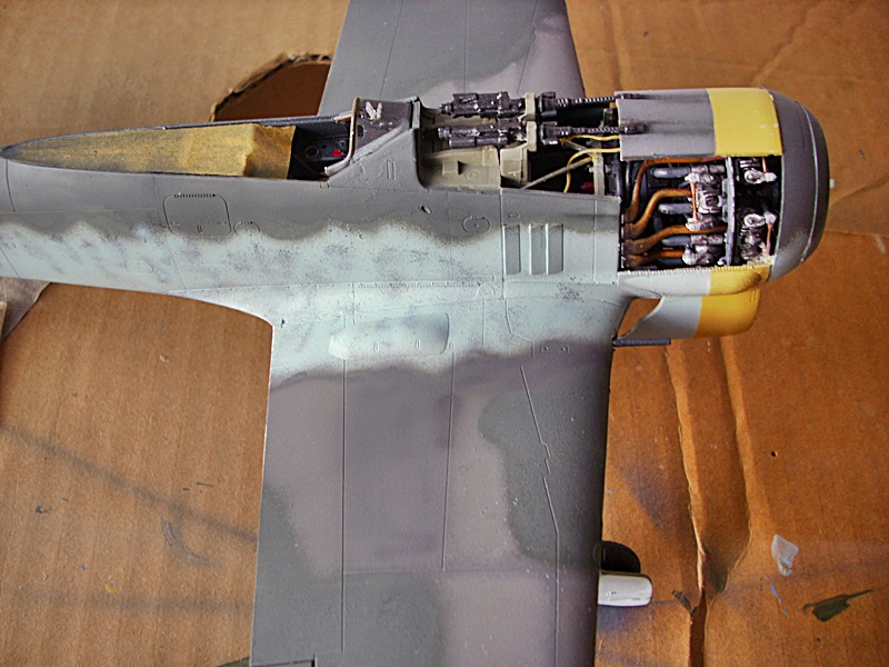DSCI0231.JPG