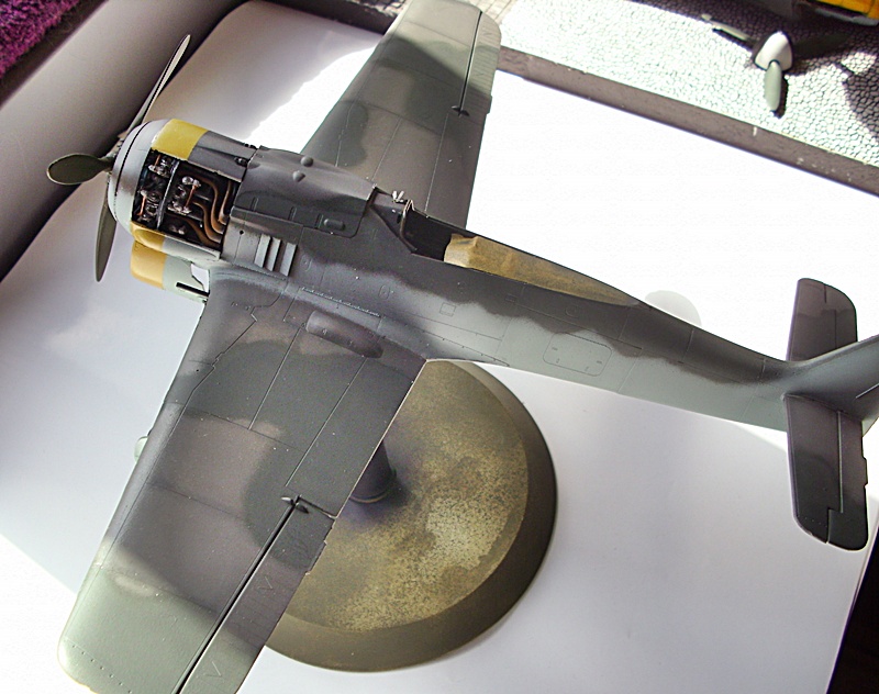 DSCI0224.JPG