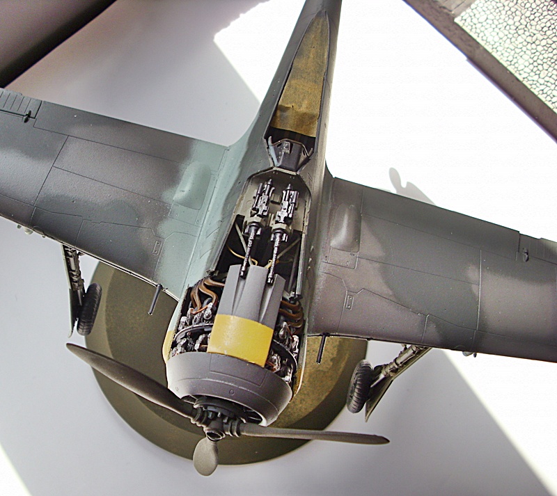 DSCI0225.JPG