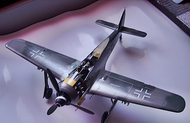 DSCI0237.JPG