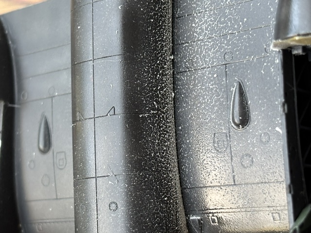 IMG_7311-2.jpeg