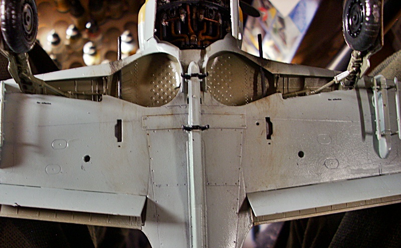 DSCI0251.JPG