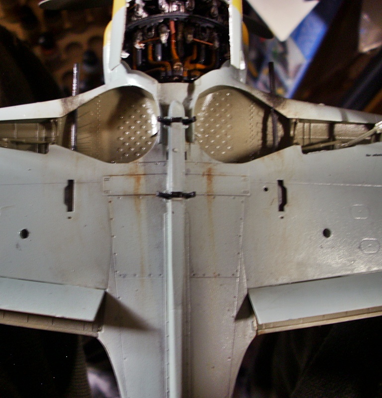 DSCI0252.JPG