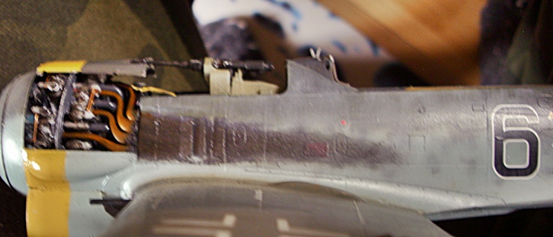 DSCI0247.JPG