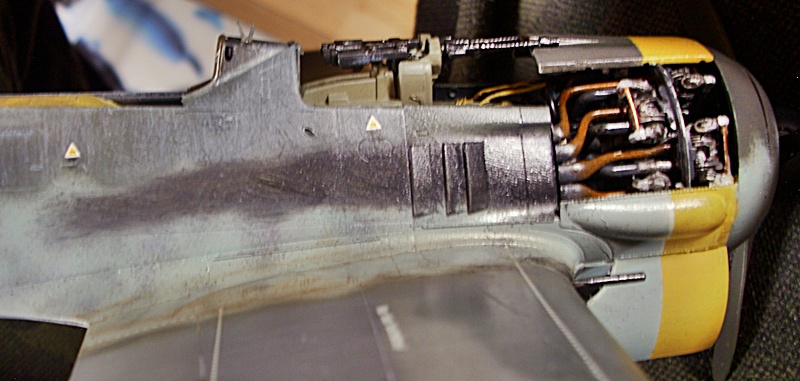 DSCI0249.JPG
