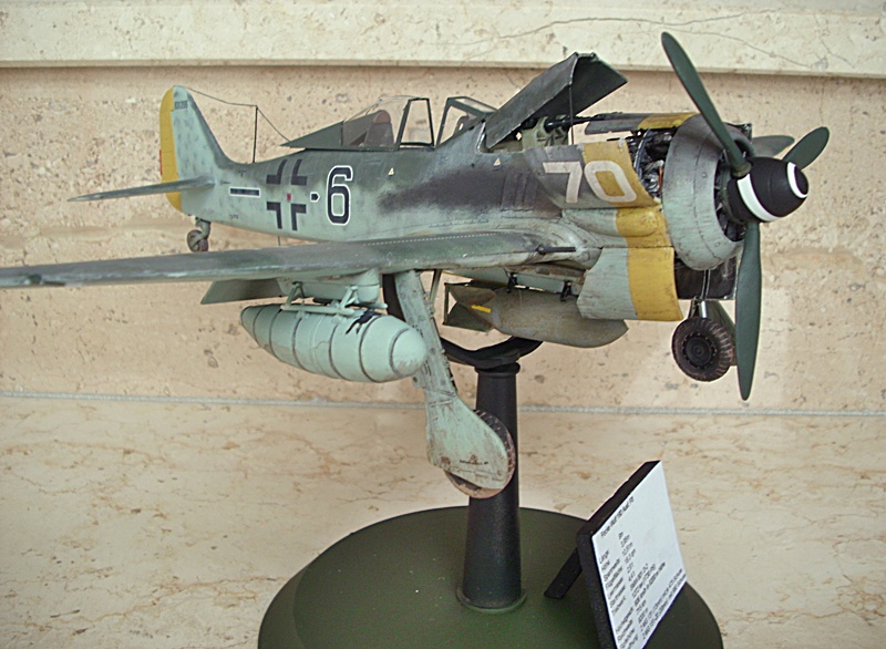 DSCI0295.JPG
