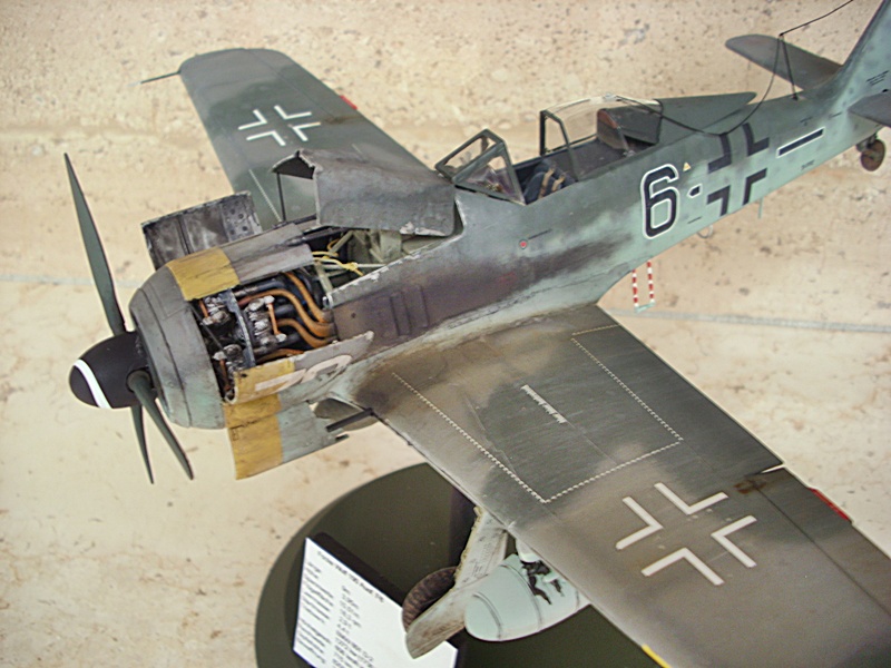 DSCI0303.JPG