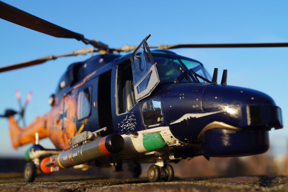 Seeluchs bei Tageslicht