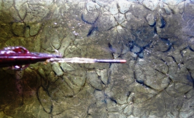 Torpedo von unten.JPG