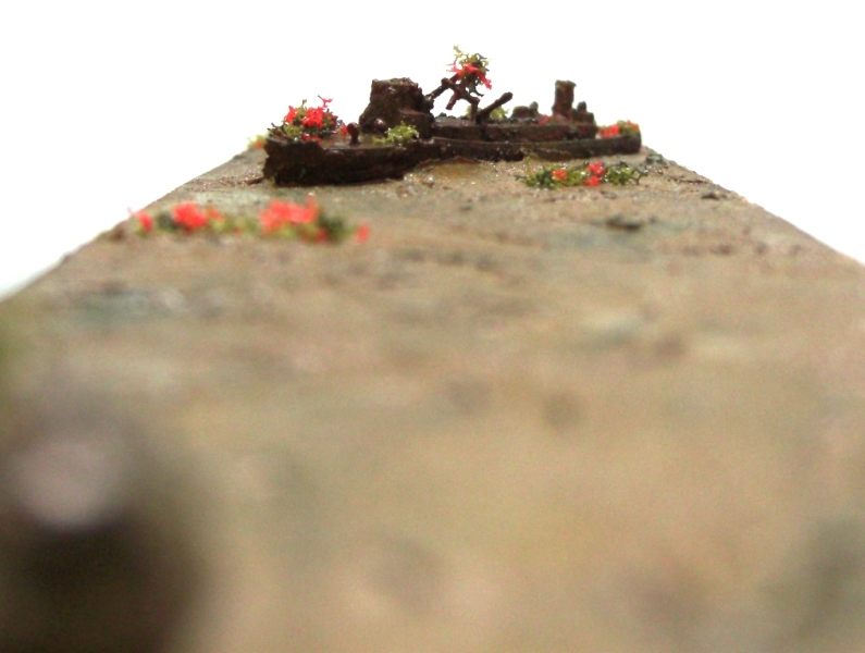 Wrack linke Seite.JPG