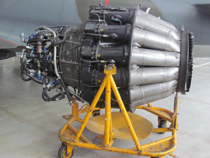 zz_Allison J-33 (4).jpg