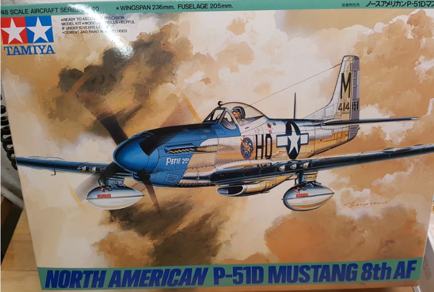 p51_1.JPG