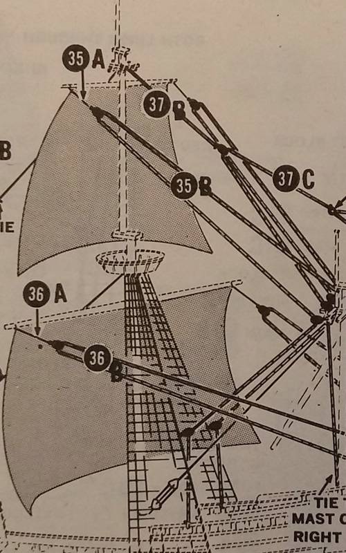 comp_20170211_094238 (2).jpg