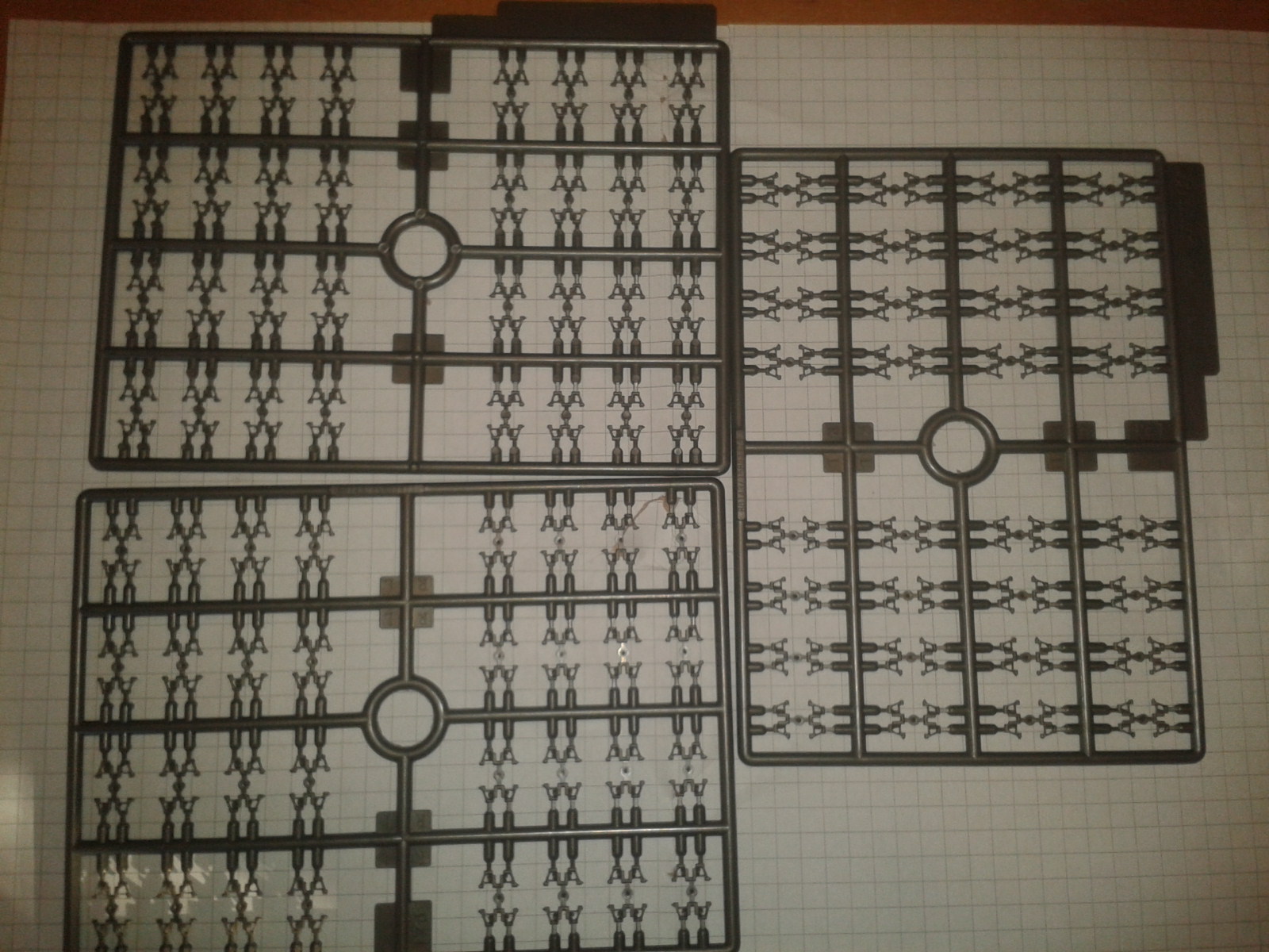 2019-02-03 10.31.30.jpg