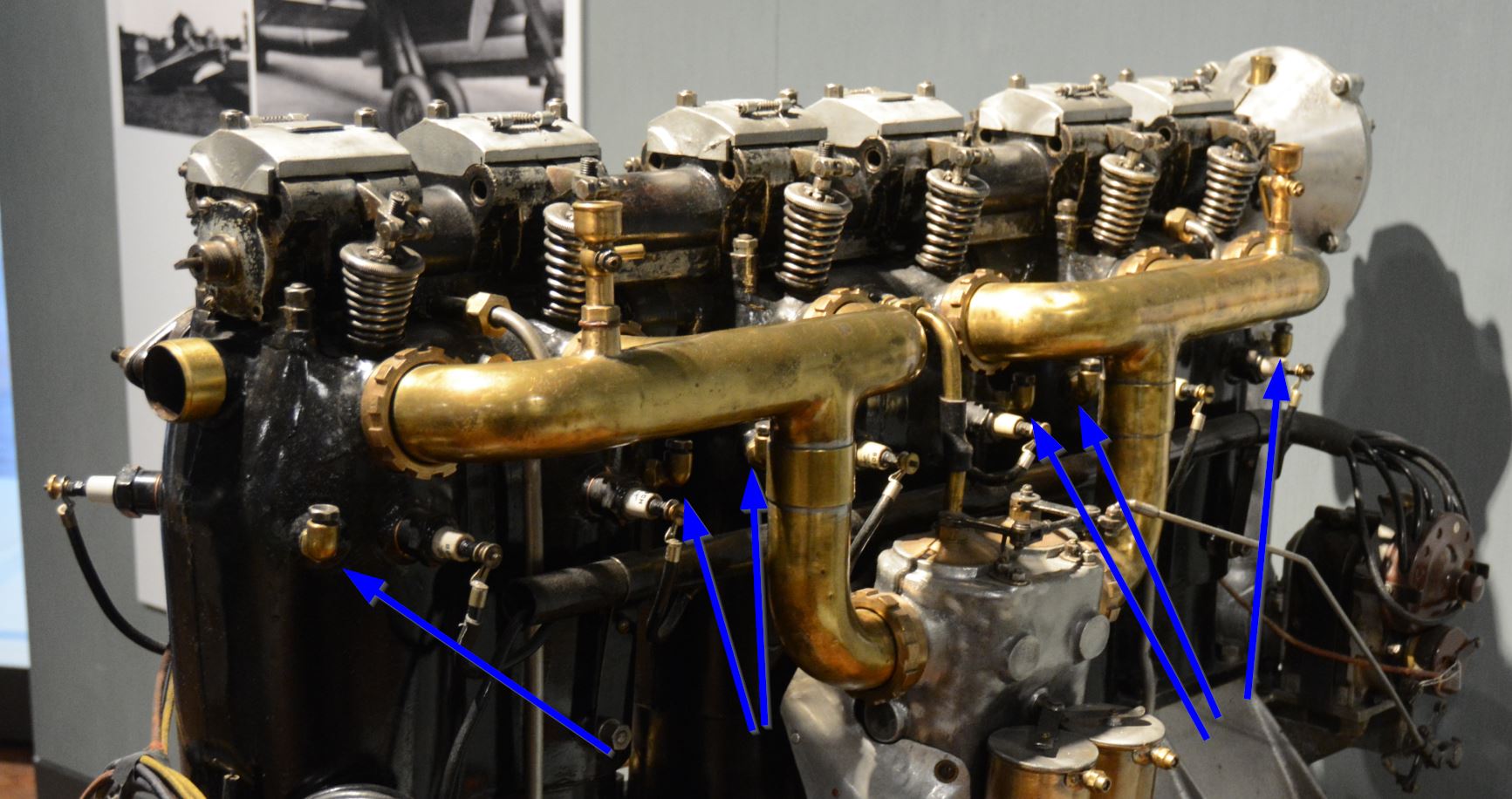 Zischhähne Original.jpg