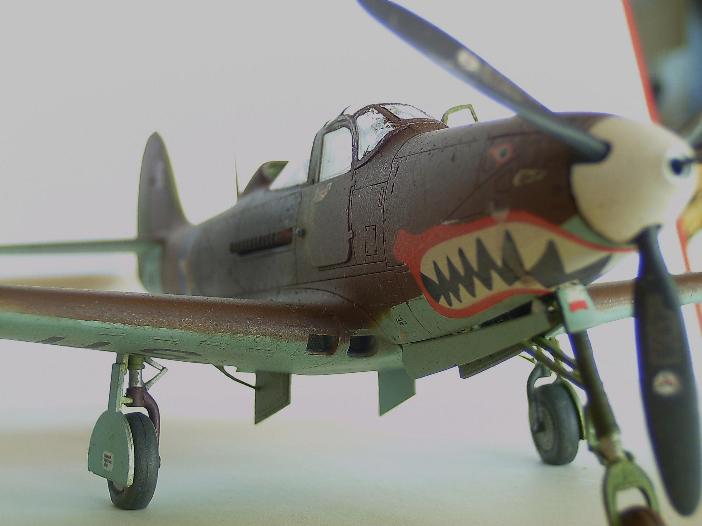 Airacobra (5).JPG