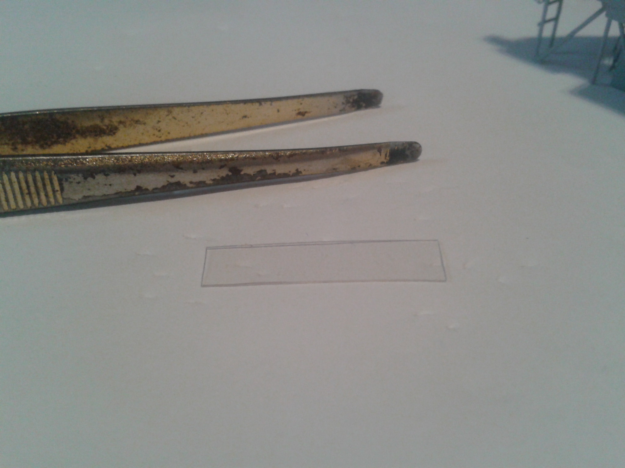 2020-01-19 15.15.18.jpg