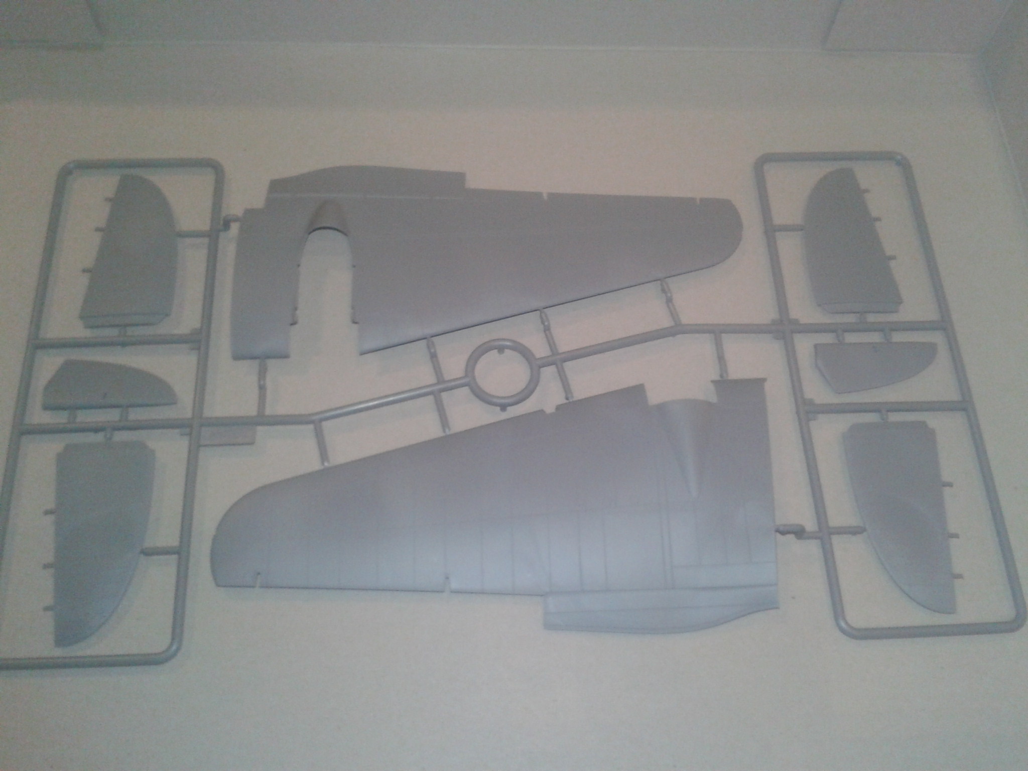 2020-02-11 18.27.01.jpg