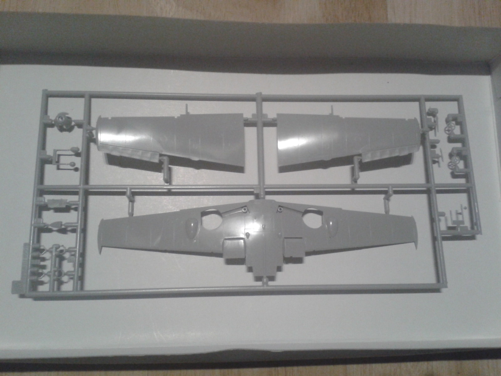 2020-03-24 18.43.23.jpg