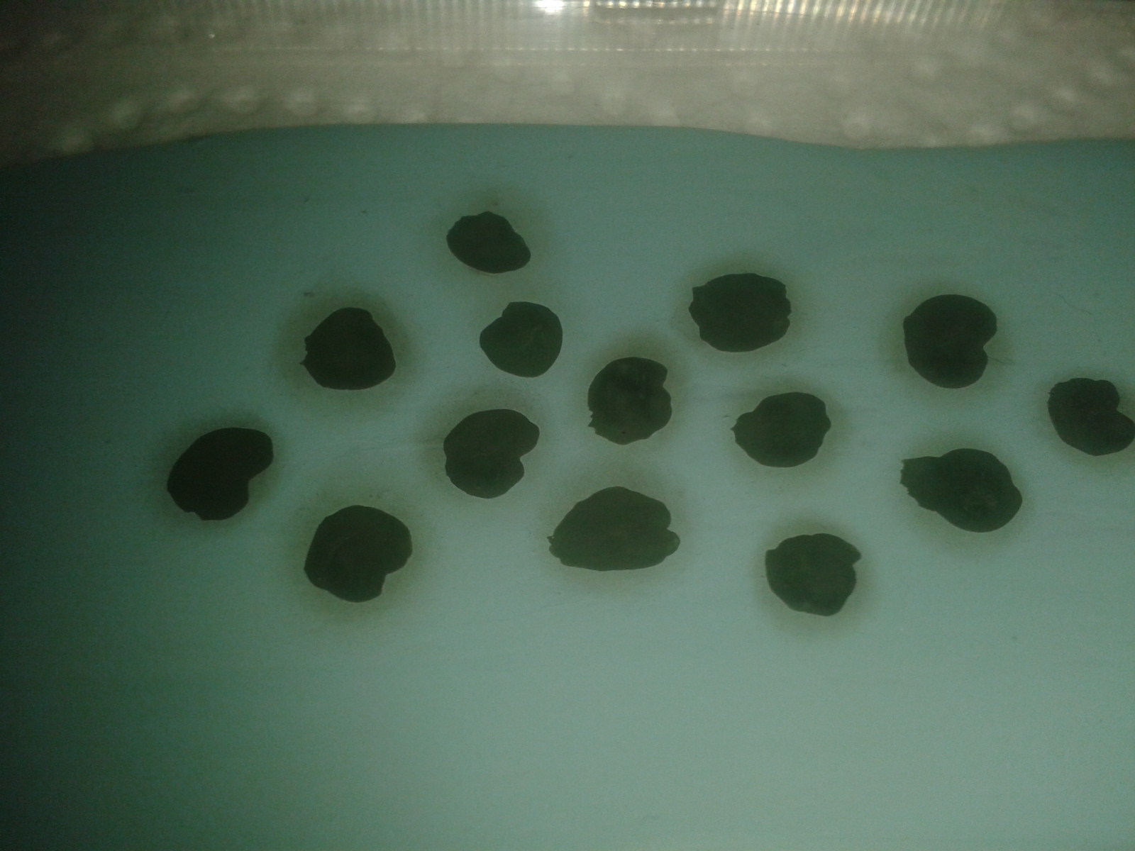 2020-03-25 18.26.35.jpg