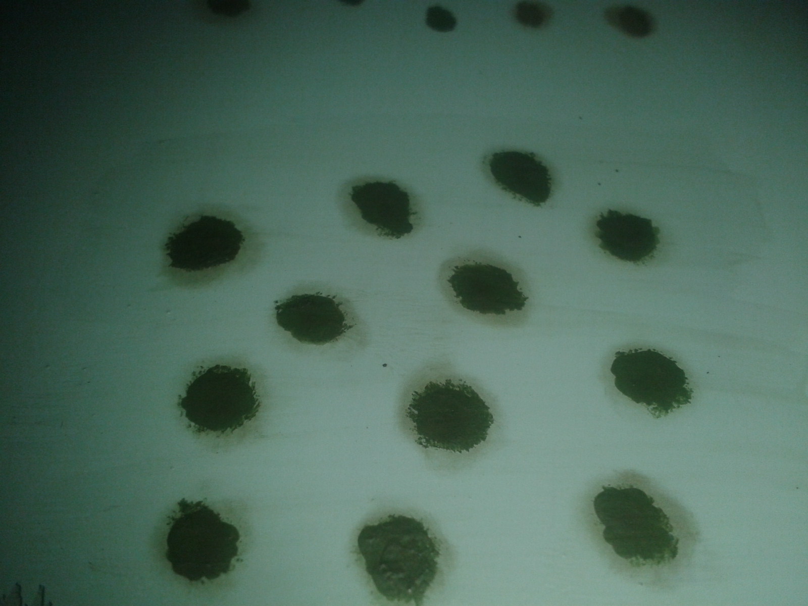 2020-03-26 18.32.31.jpg