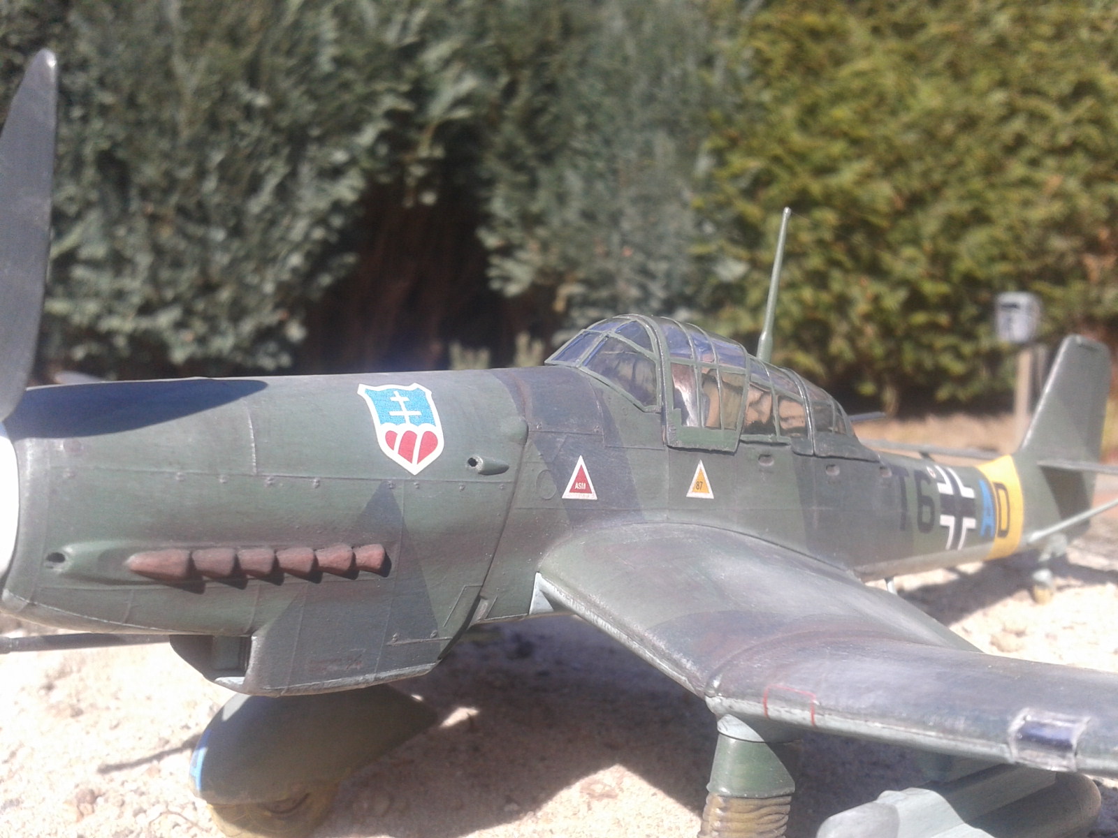 2020-04-15 11.22.05.jpg