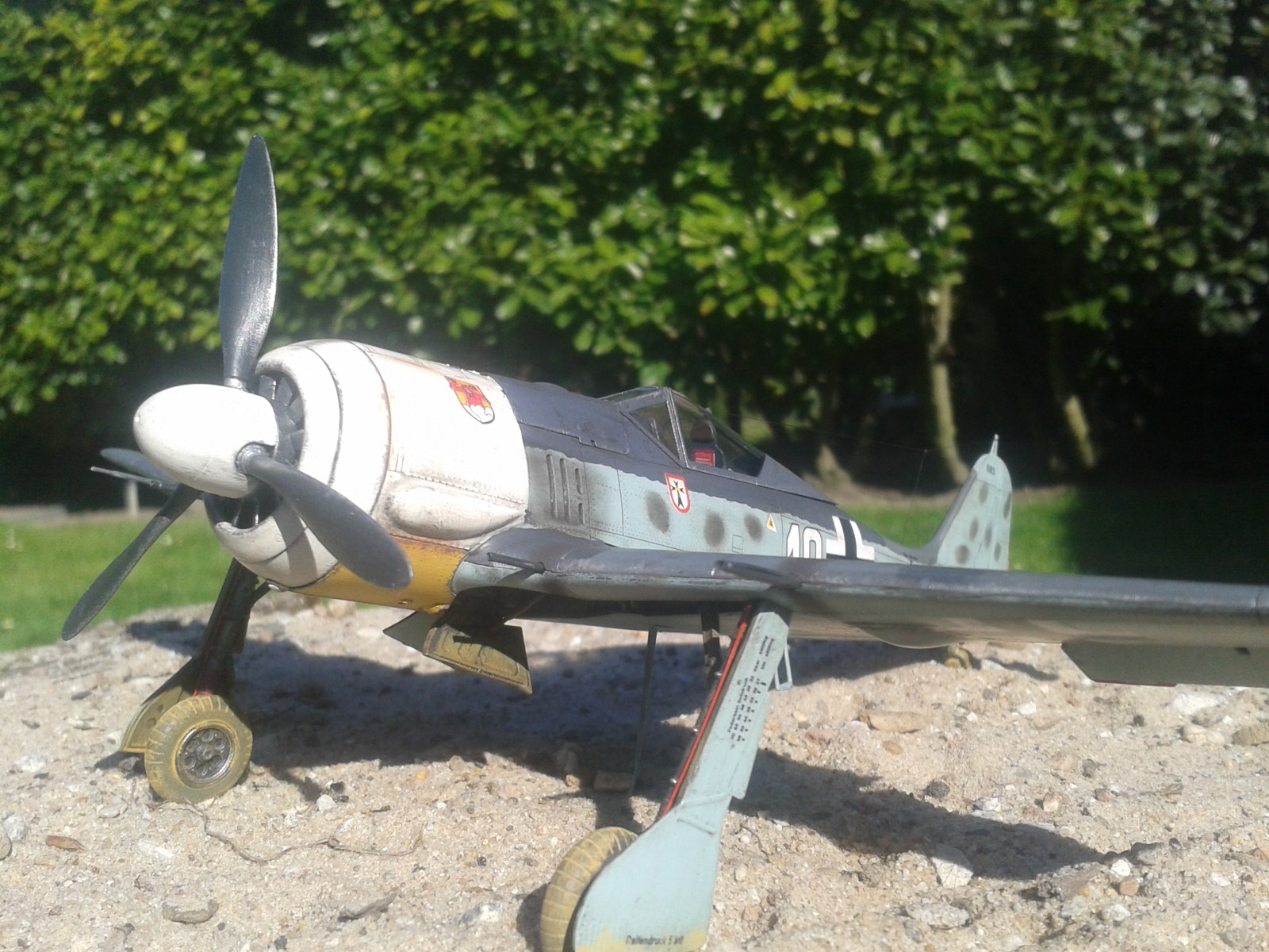 2020-04-26 17.00.05.jpg