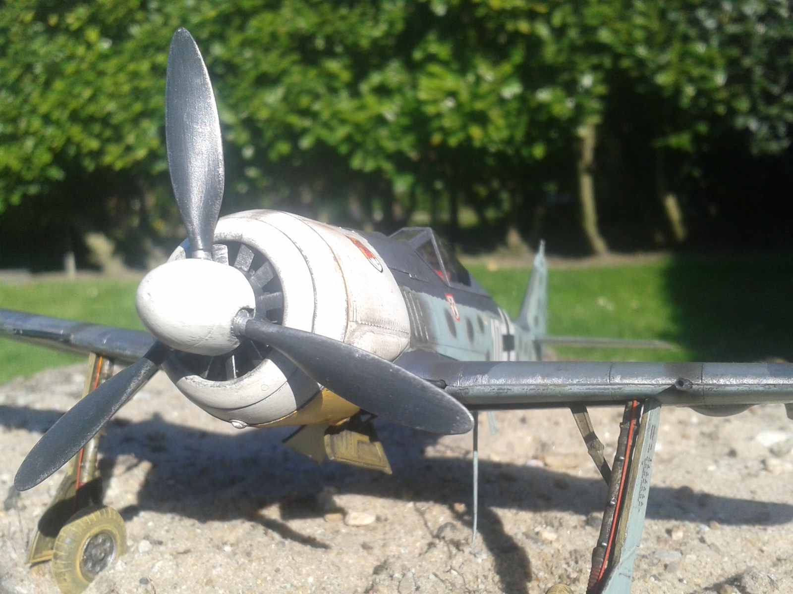 2020-04-26 17.00.56.jpg