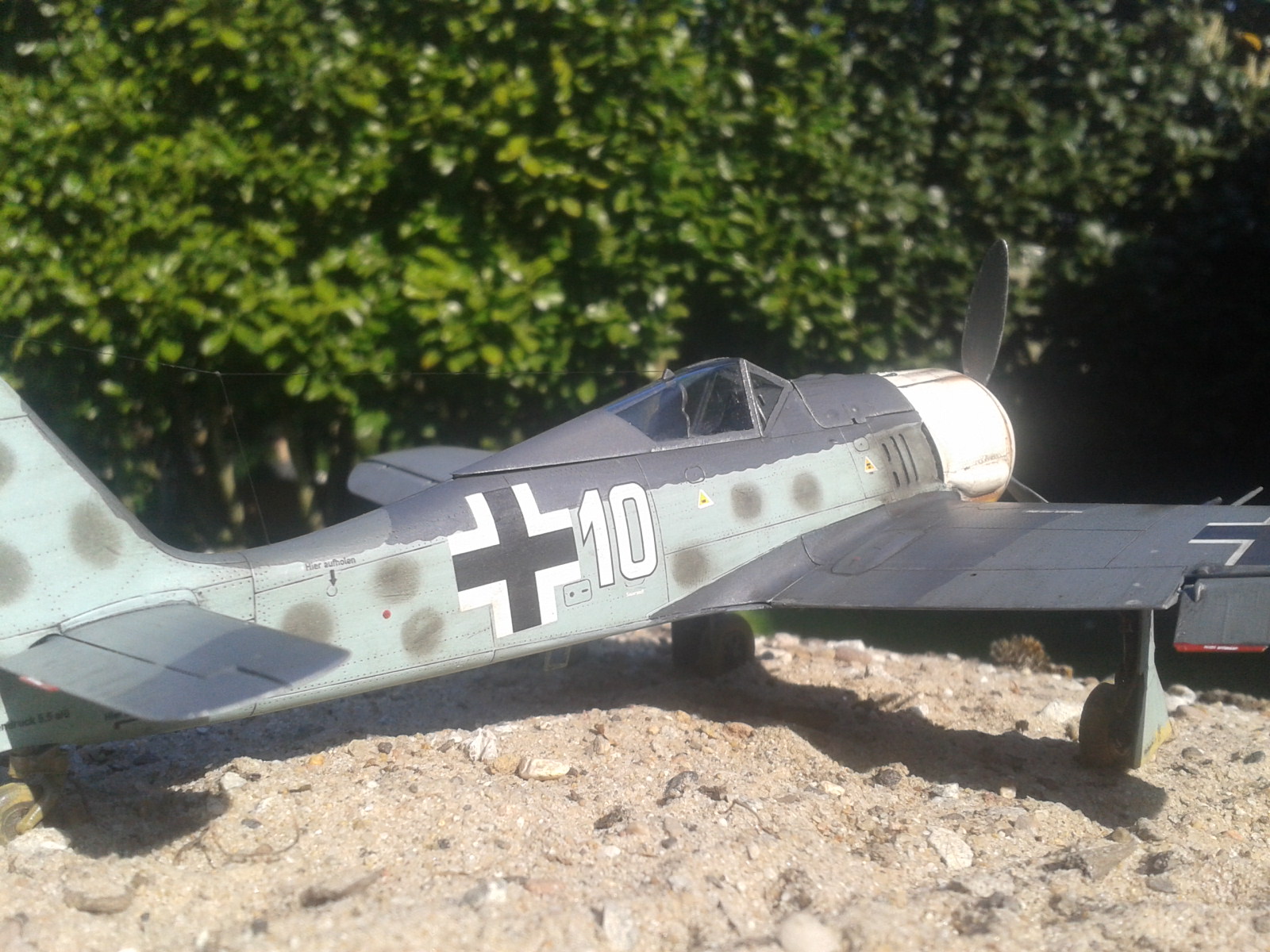 2020-04-26 17.01.40.jpg