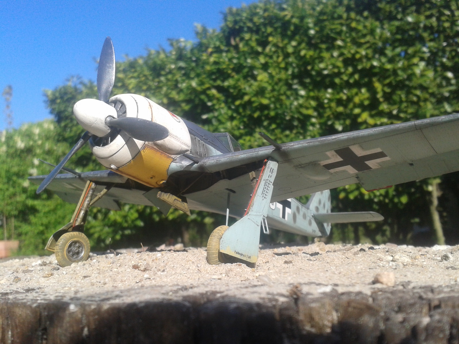 2020-04-26 17.04.40.jpg