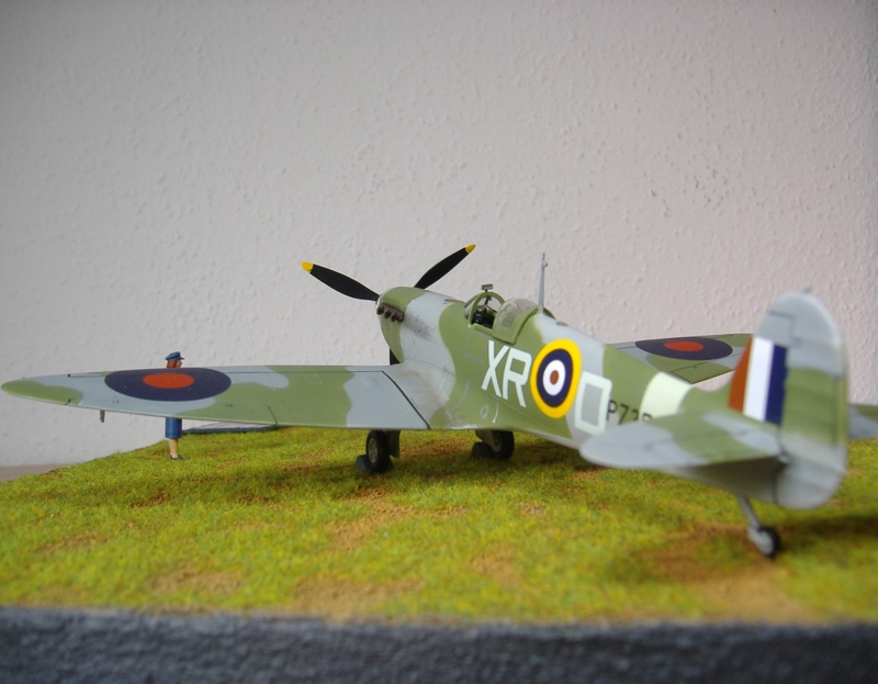 Spitfire 19-01.jpeg