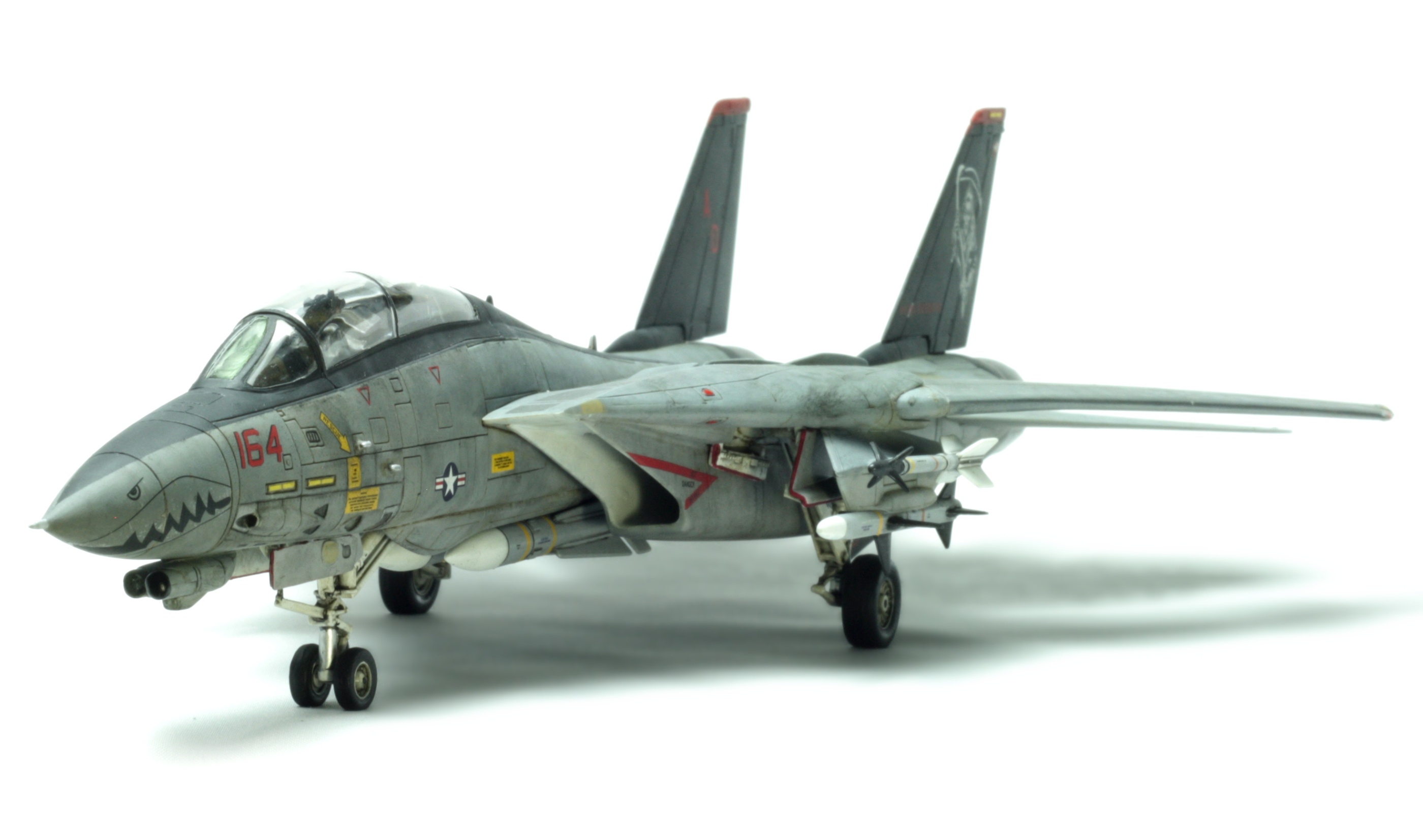 F-14 Tomcat