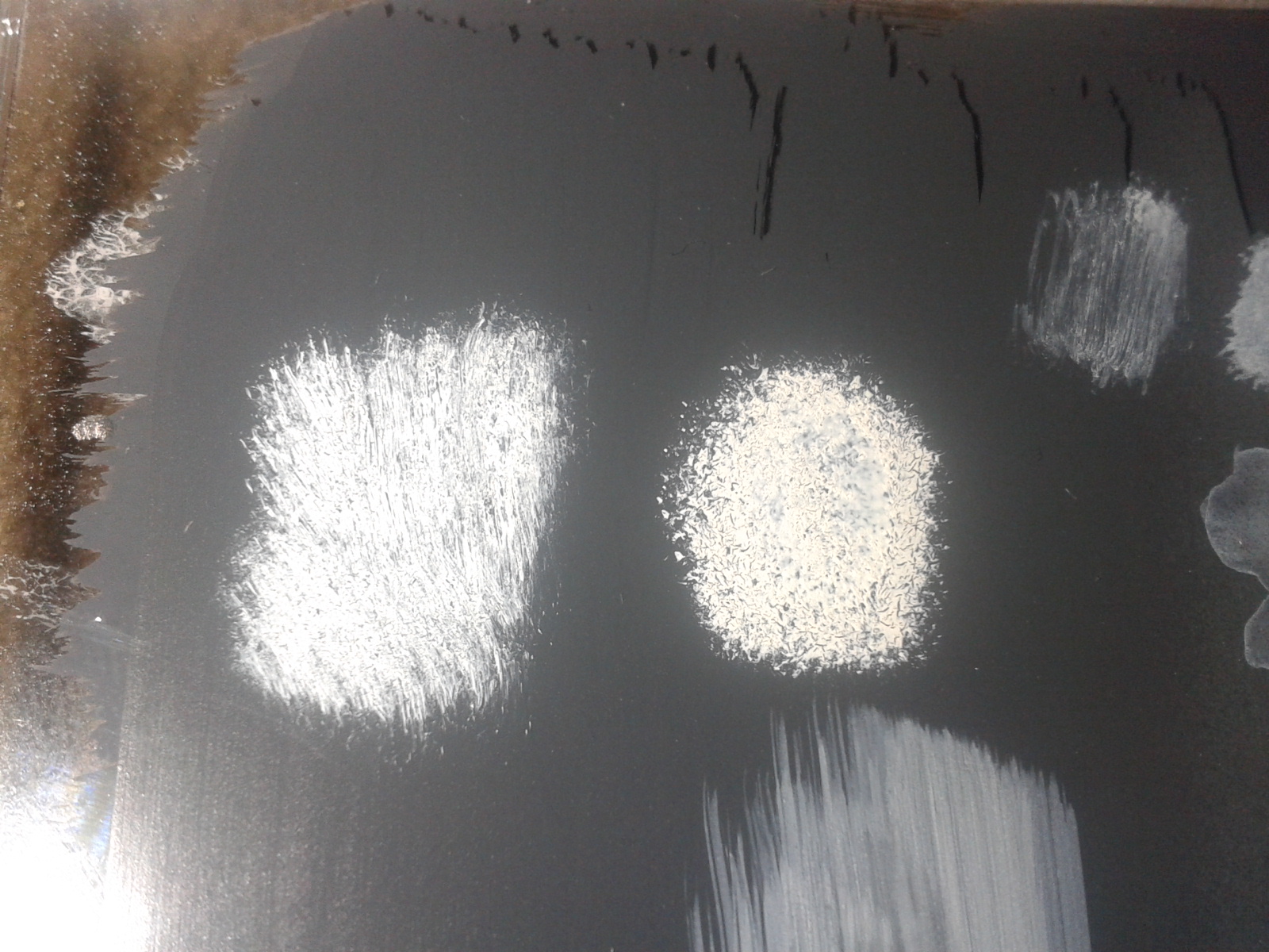 2020-09-23 18.17.49.jpg