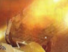 Revell Bausatzraten.PNG